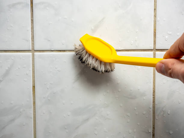 Best Residential Mold Remediation in Breezy Point, MN